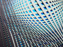Load image into Gallery viewer, Hypnotic Pulse Mint